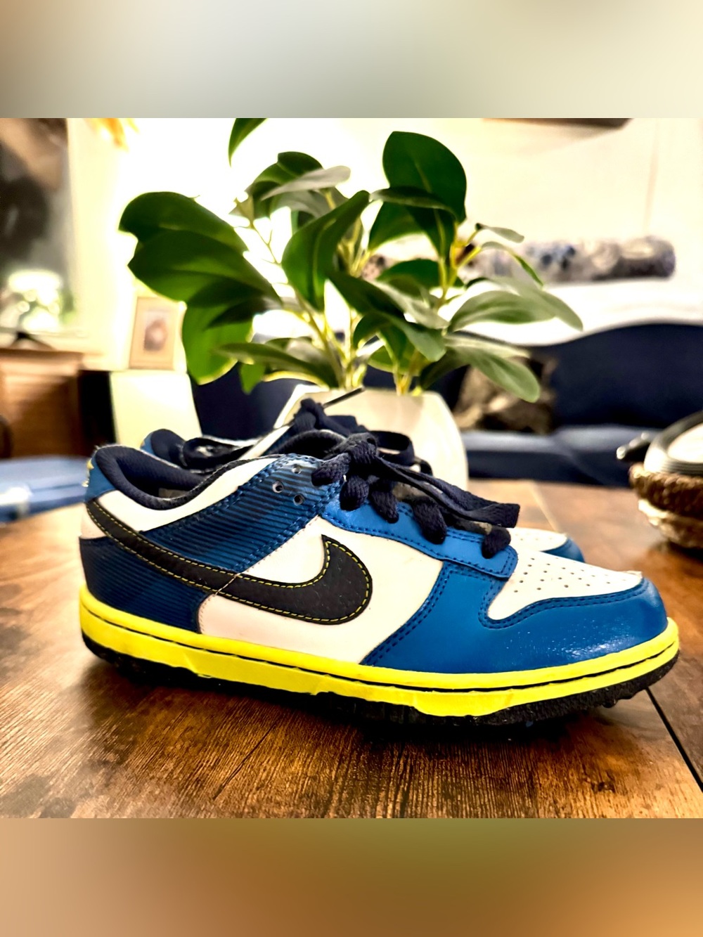 Nike Kids Blue, White & Green Low-Top Sneakers with Black Swoosh 1Y